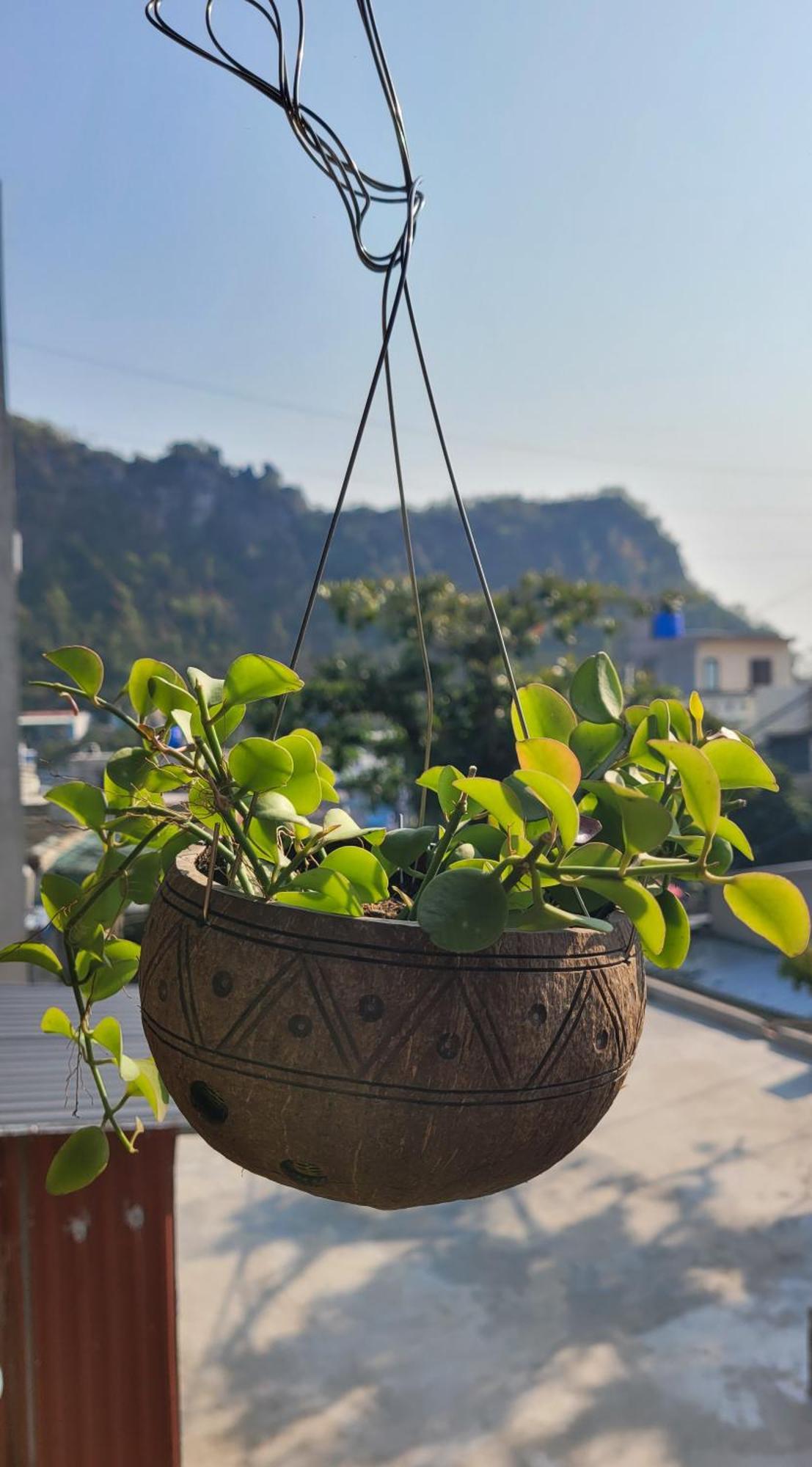 Hotel Tiny Garden House Cat Ba Chan Chau Exterior foto